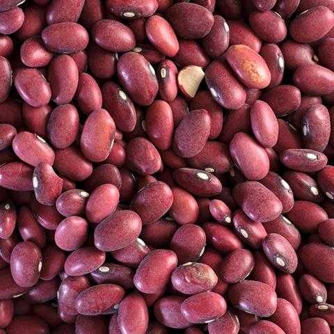 Organic Dried Red Beans
