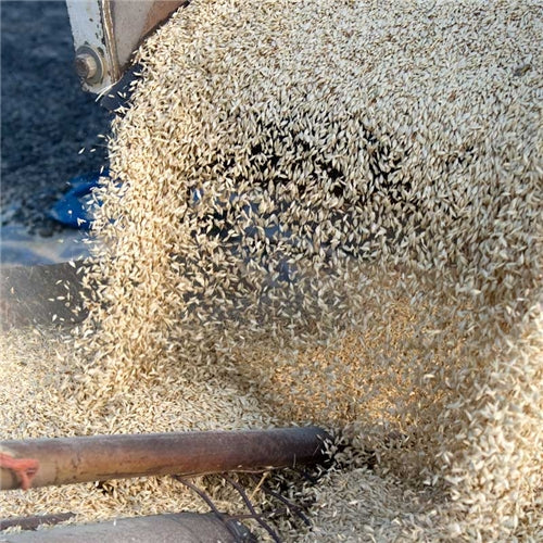 Finding Farro