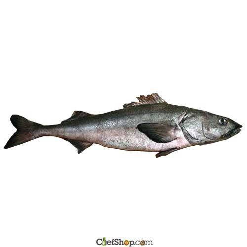 Fresh Sablefish (Black Cod) - 10 pounds