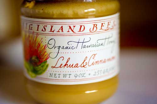 Big Island Bees Lehua Ohia Honey with Ceylon Cinnamon