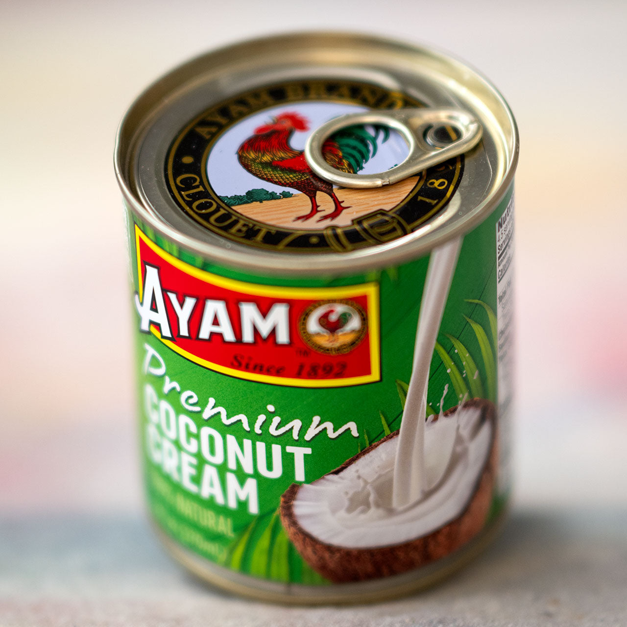Ayam Premium Coconut Cream