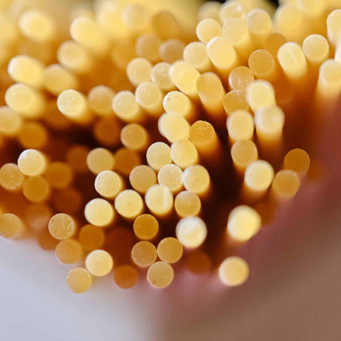 Bigoli Nobili Mori Spaghetti Pasta shape