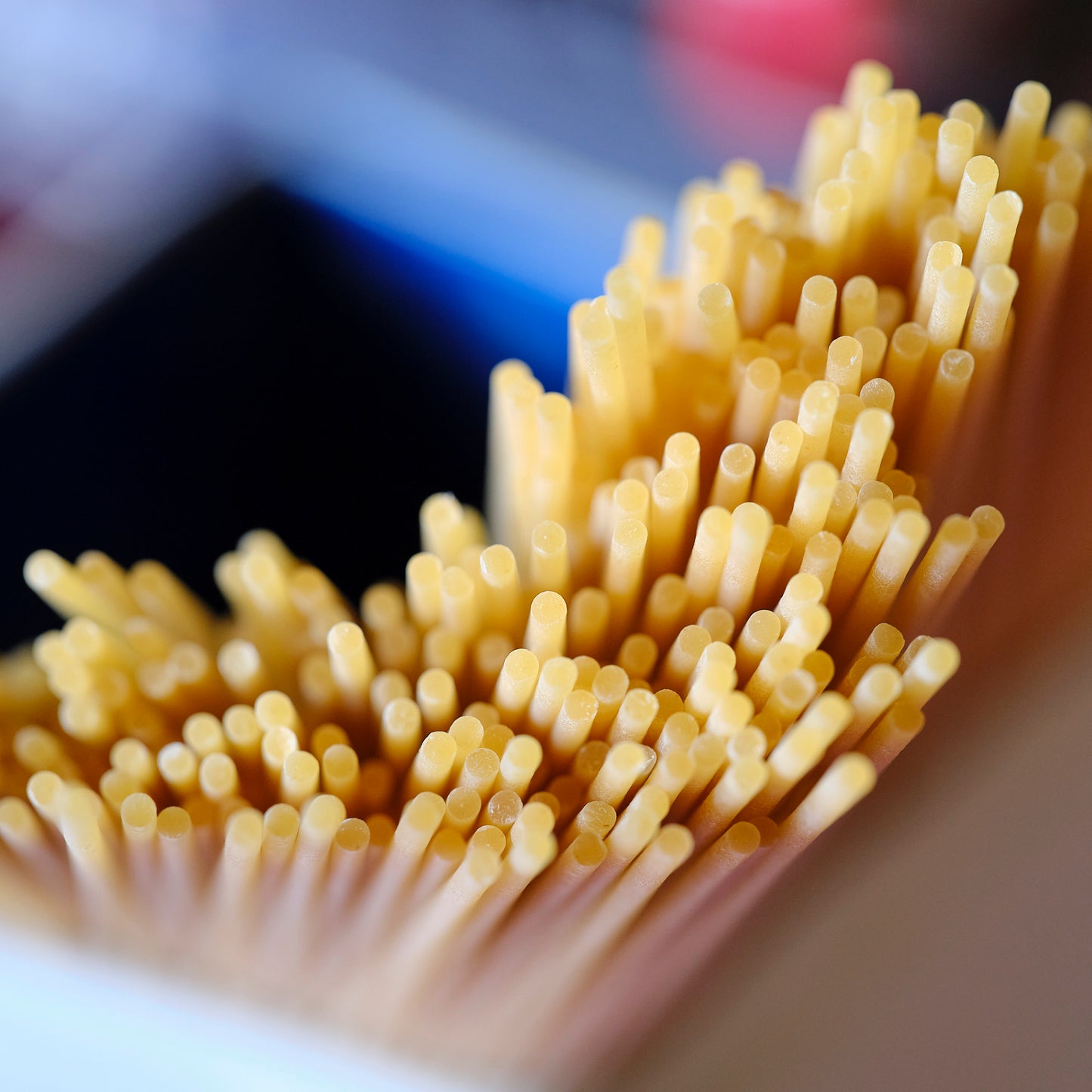 Bigoli Nobili Mori Spaghetti Pasta tip