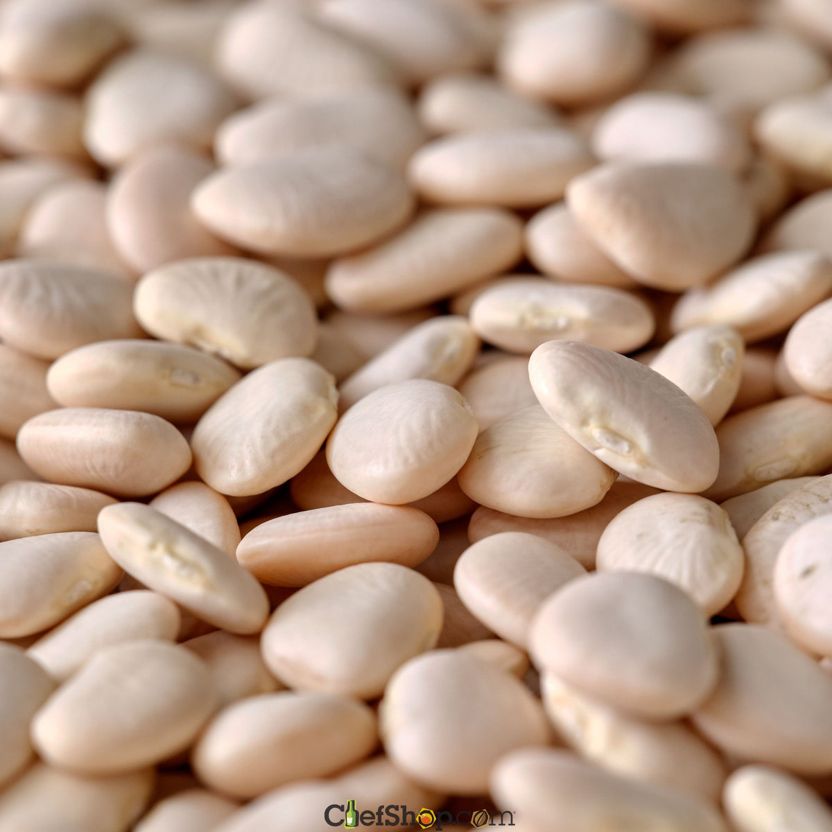 Dried Baby Lima Beans