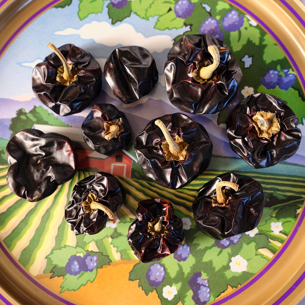 Dried Nora Chili Pods