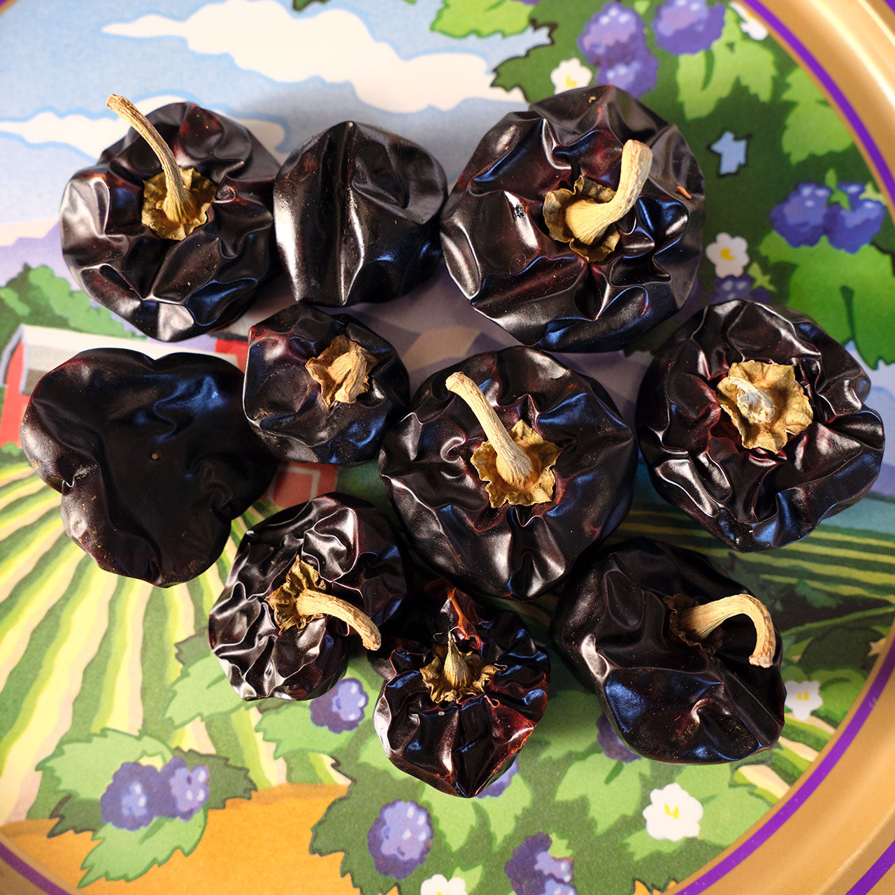 Dried Nora Chili Pods