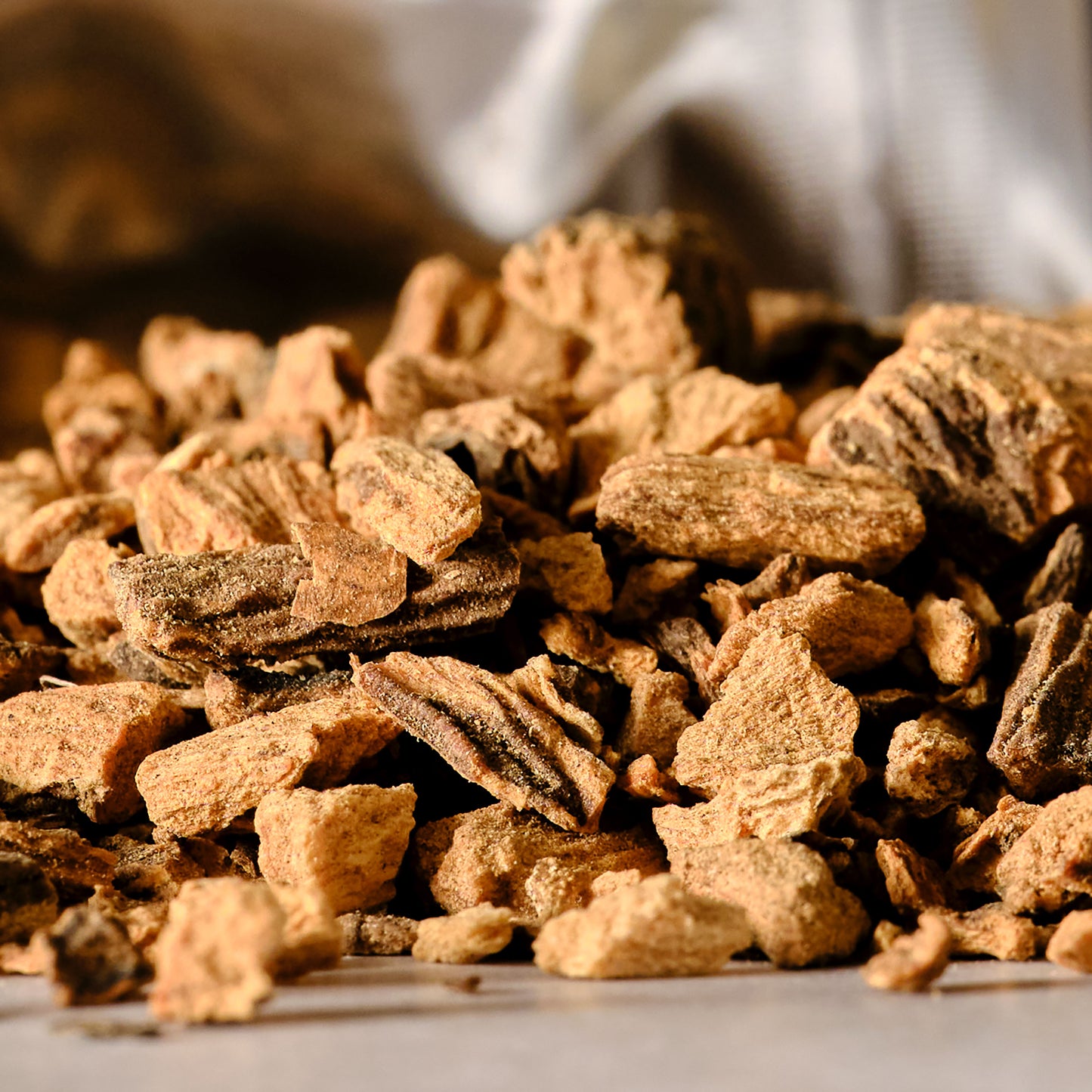 Dried Gentian Root Macro