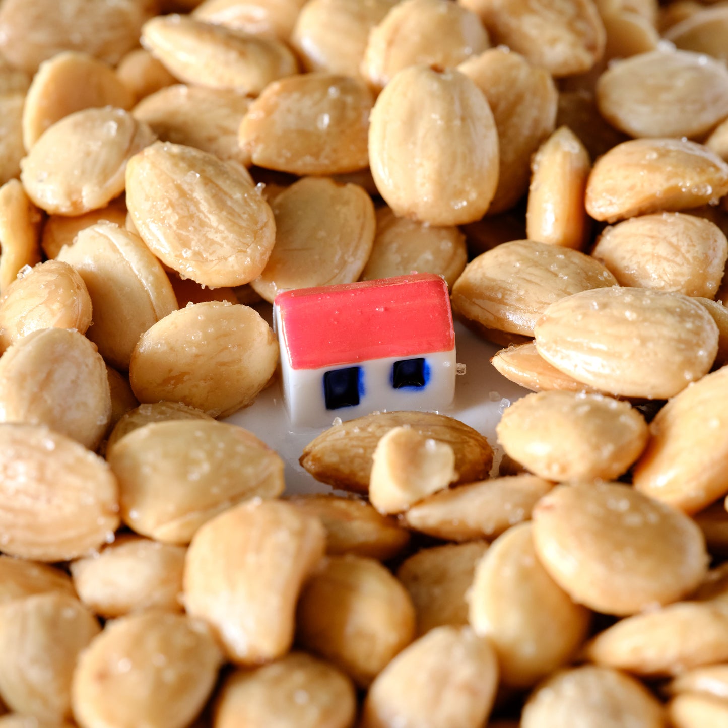 Essential Pantry Marcona Almonds - Fried & Lightly Salted red house