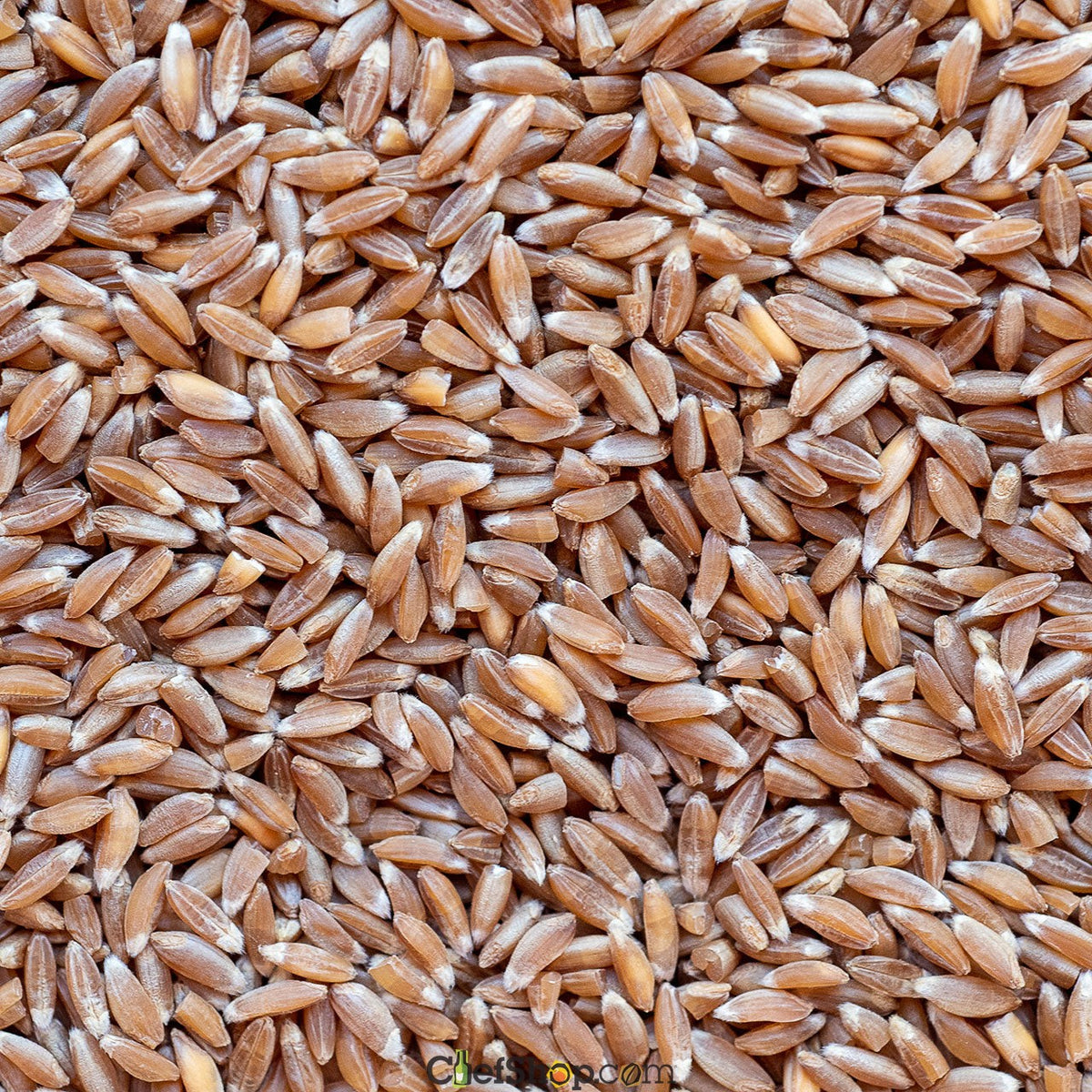 Farro Emmer Organic