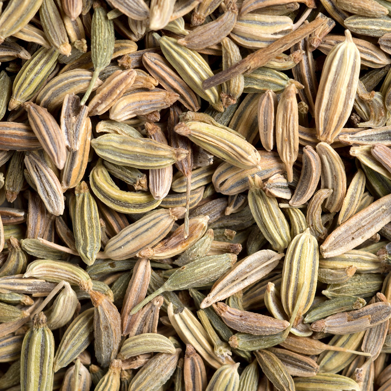 Fennel Seeds