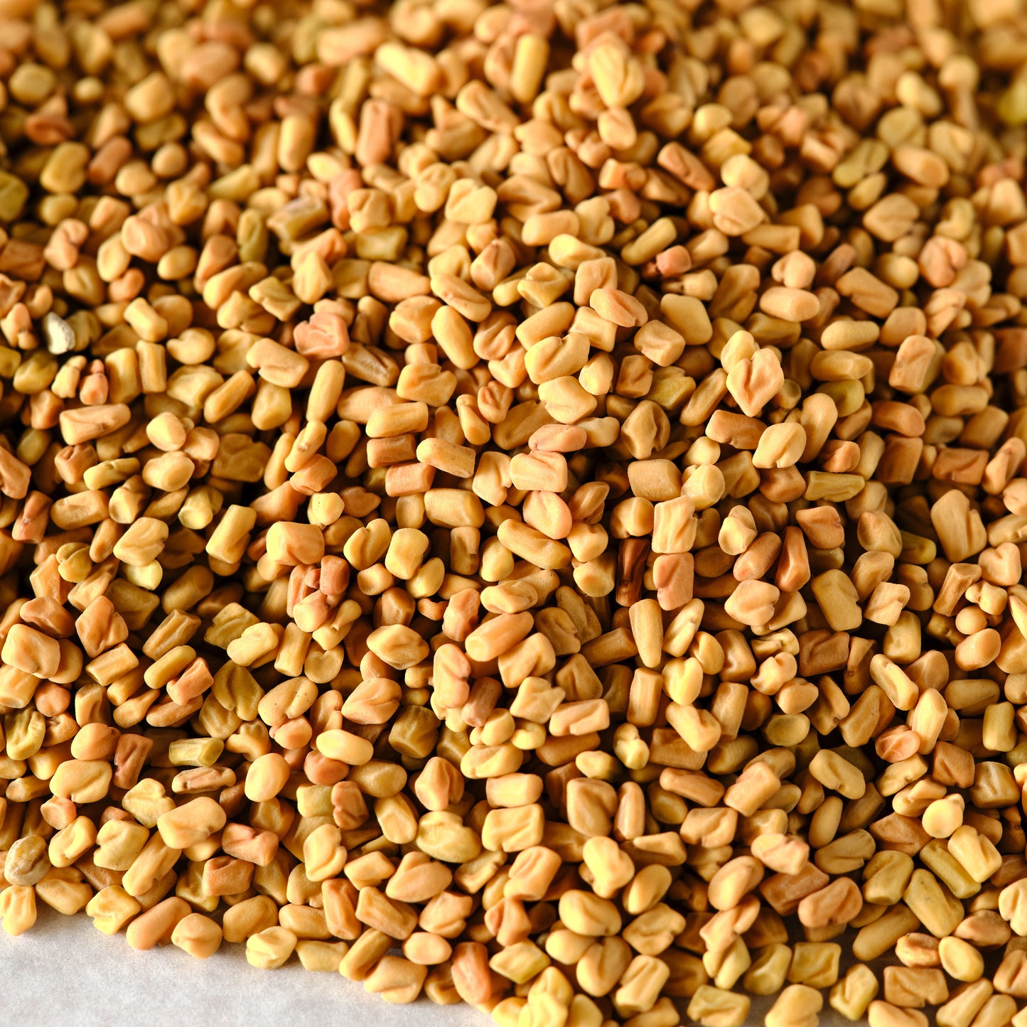 Fenugreek Seeds - Whole detail