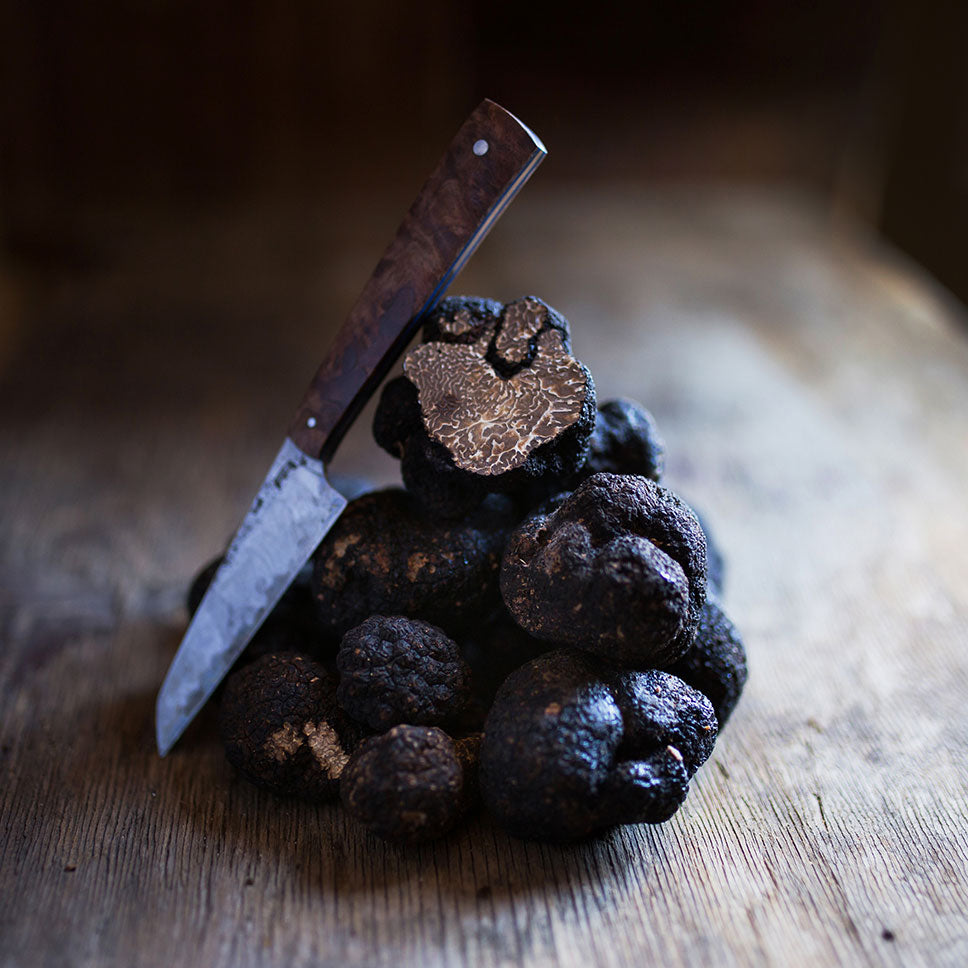 Fresh Black Perigord Winter Truffles - 2 pounds