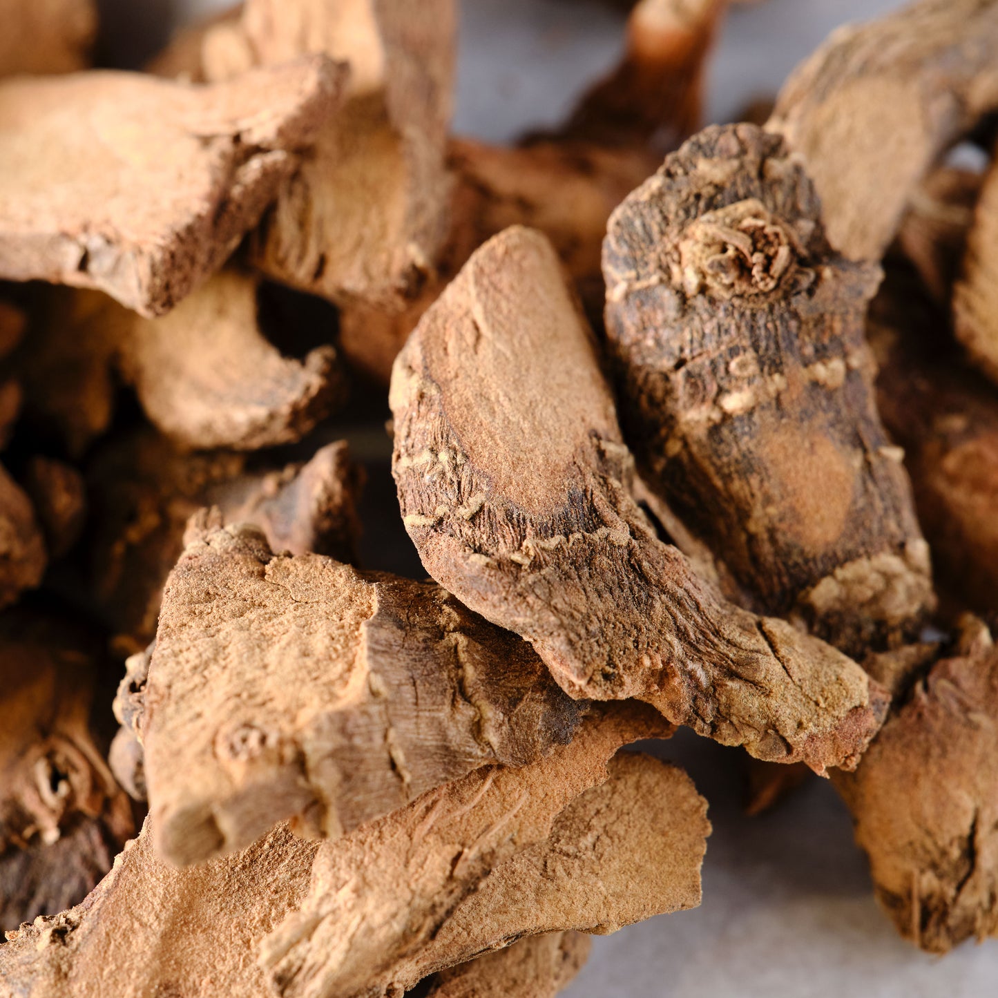 Galangal Root - Slices Organic - Dried - macro