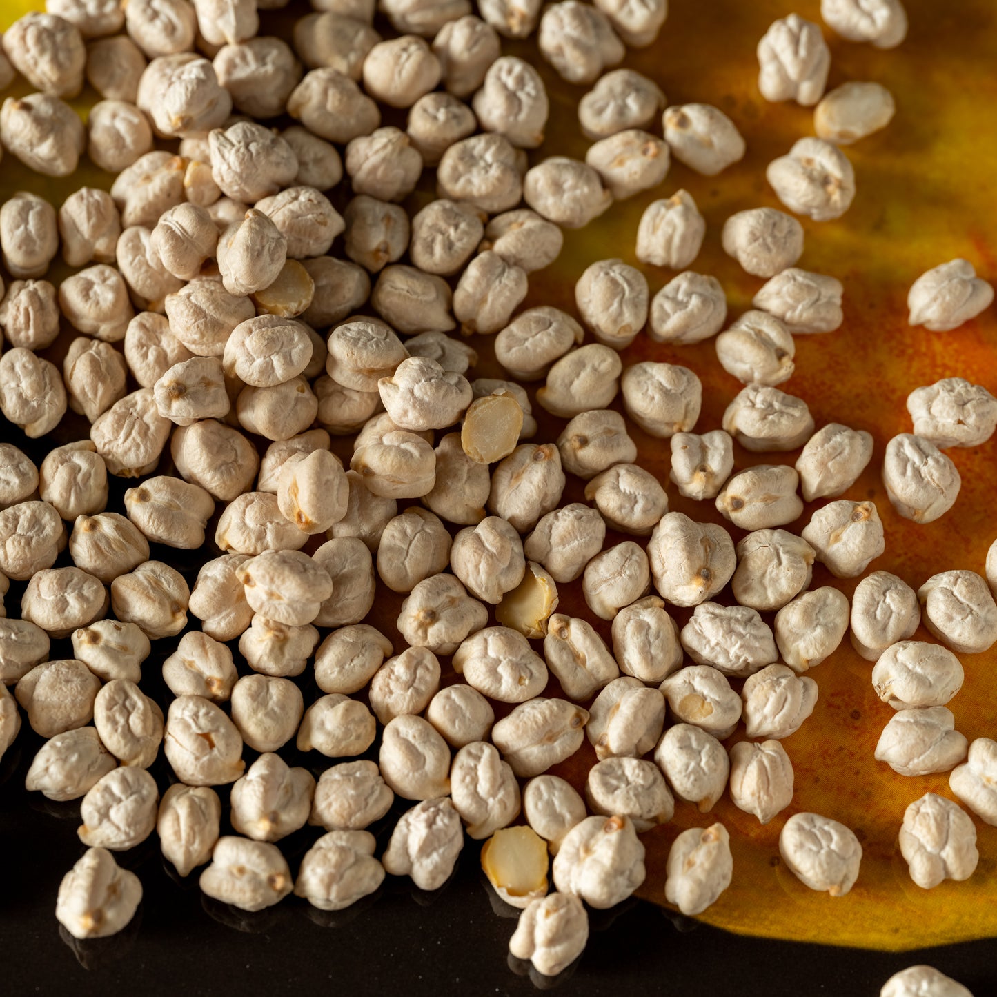 Garbanzo - 1209 York Street Beans - Dried