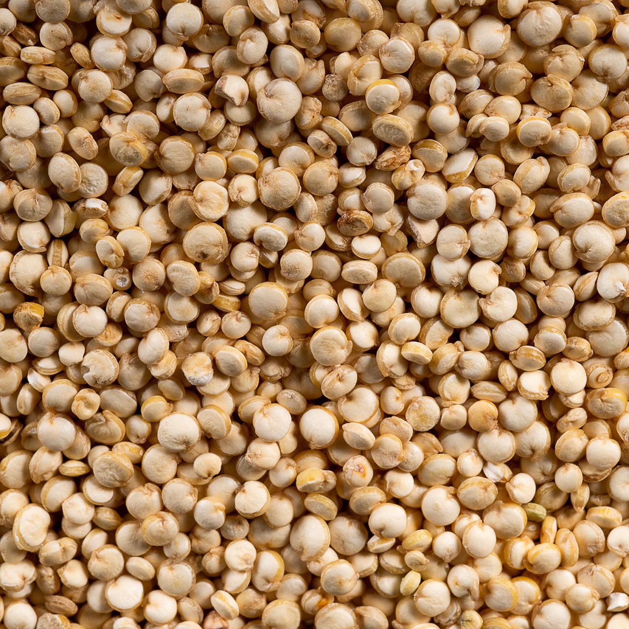 Quinoa Golden Organic Essential Pantry