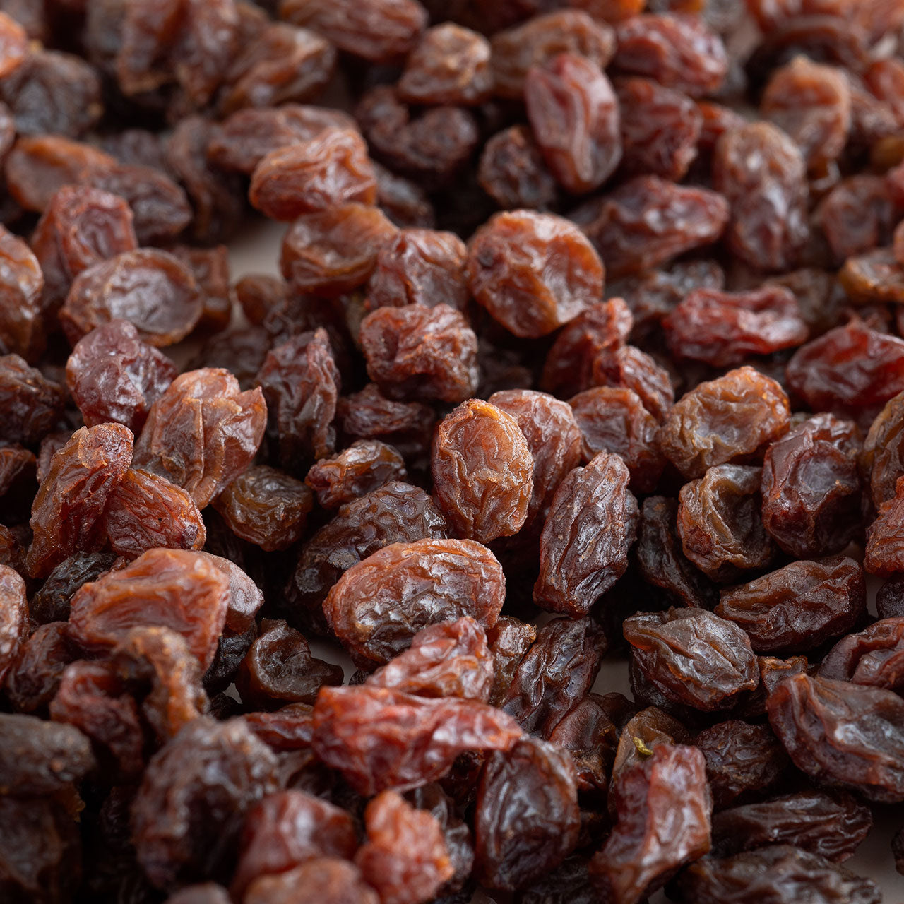 Organic Thompson Raisins