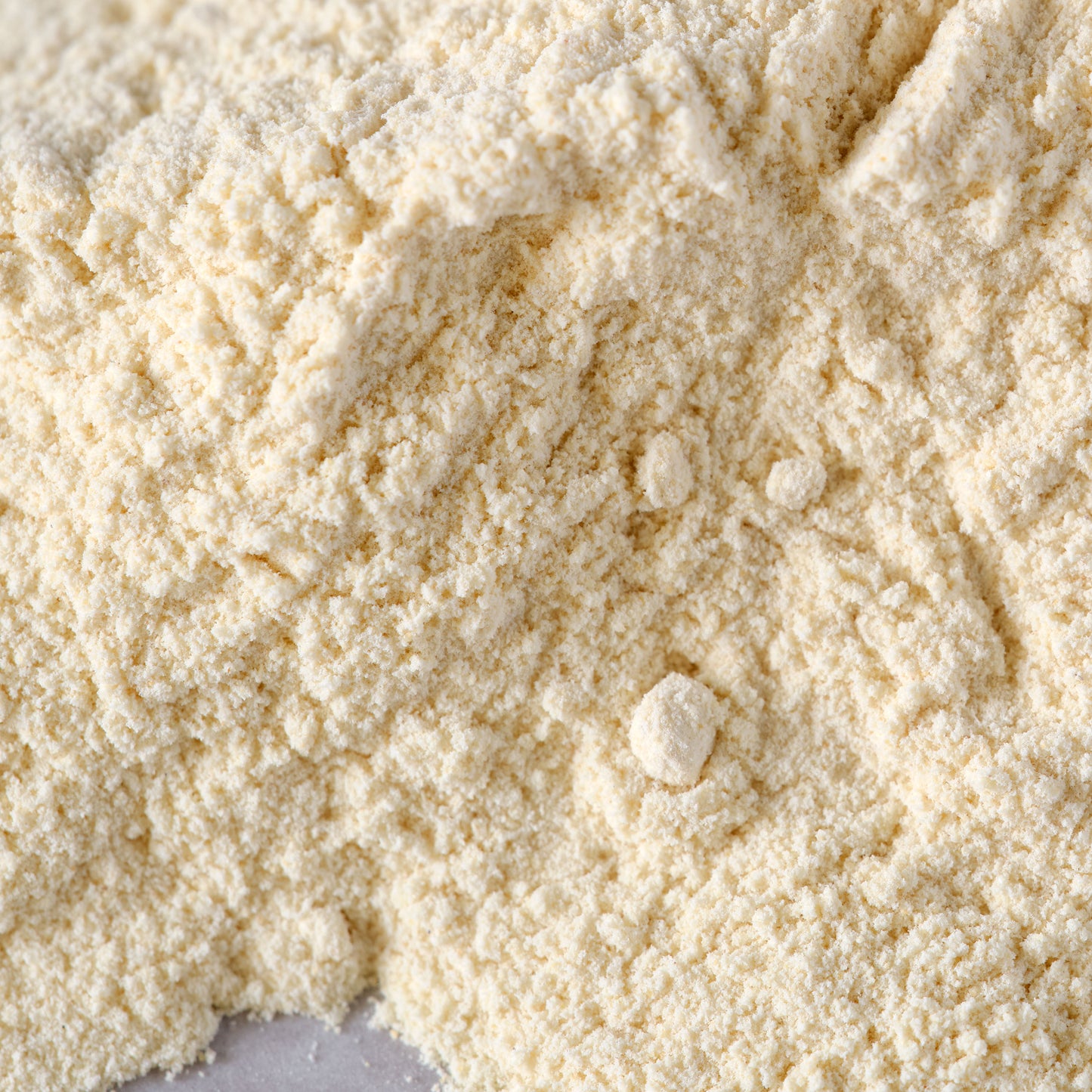 Organic Garlic Powder macro
