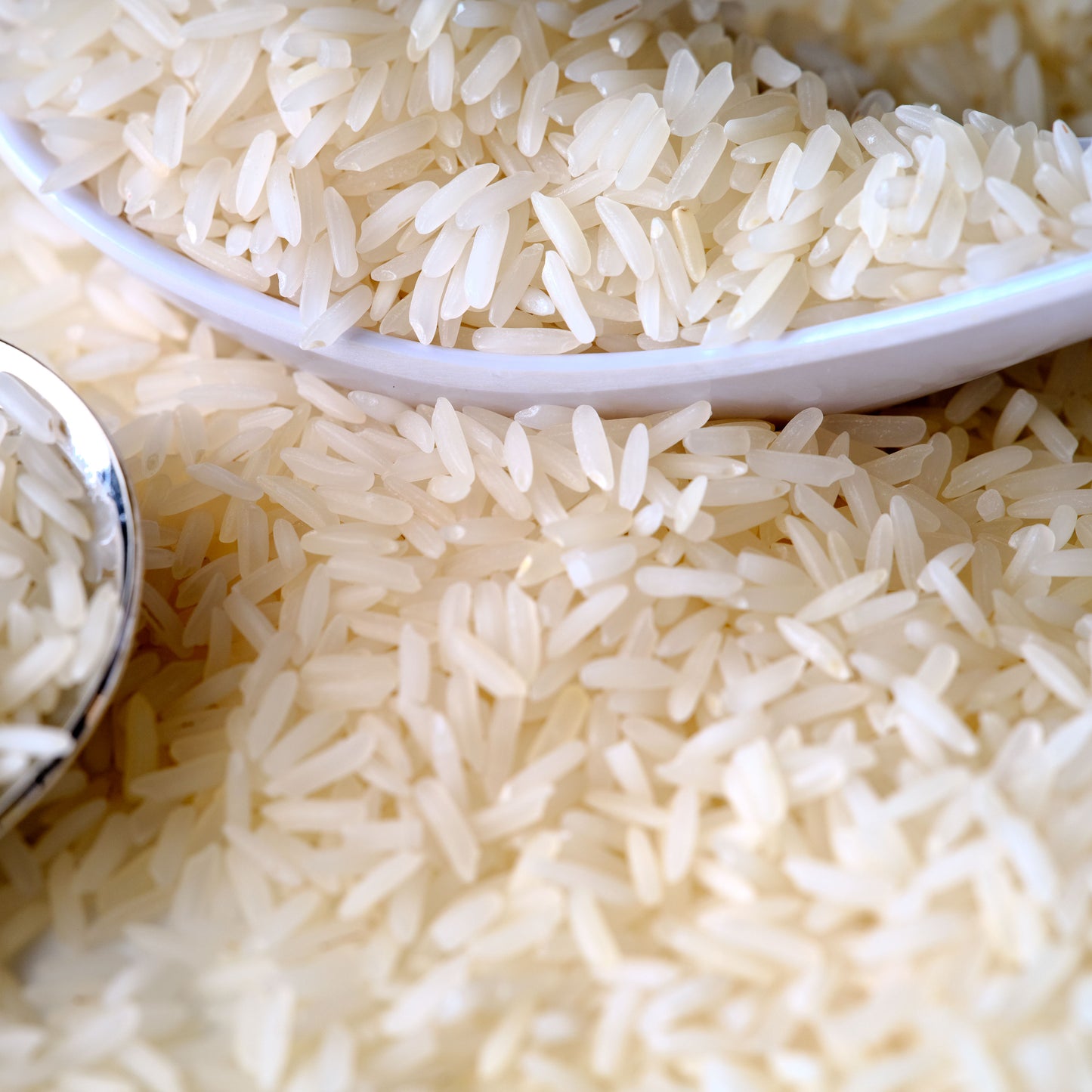 Jasmine Rice - Milagrosa