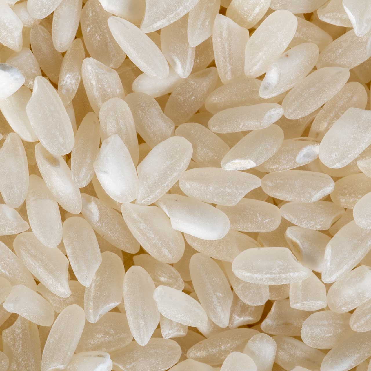 Koda Farms Kokuho Rose Sushi Rice