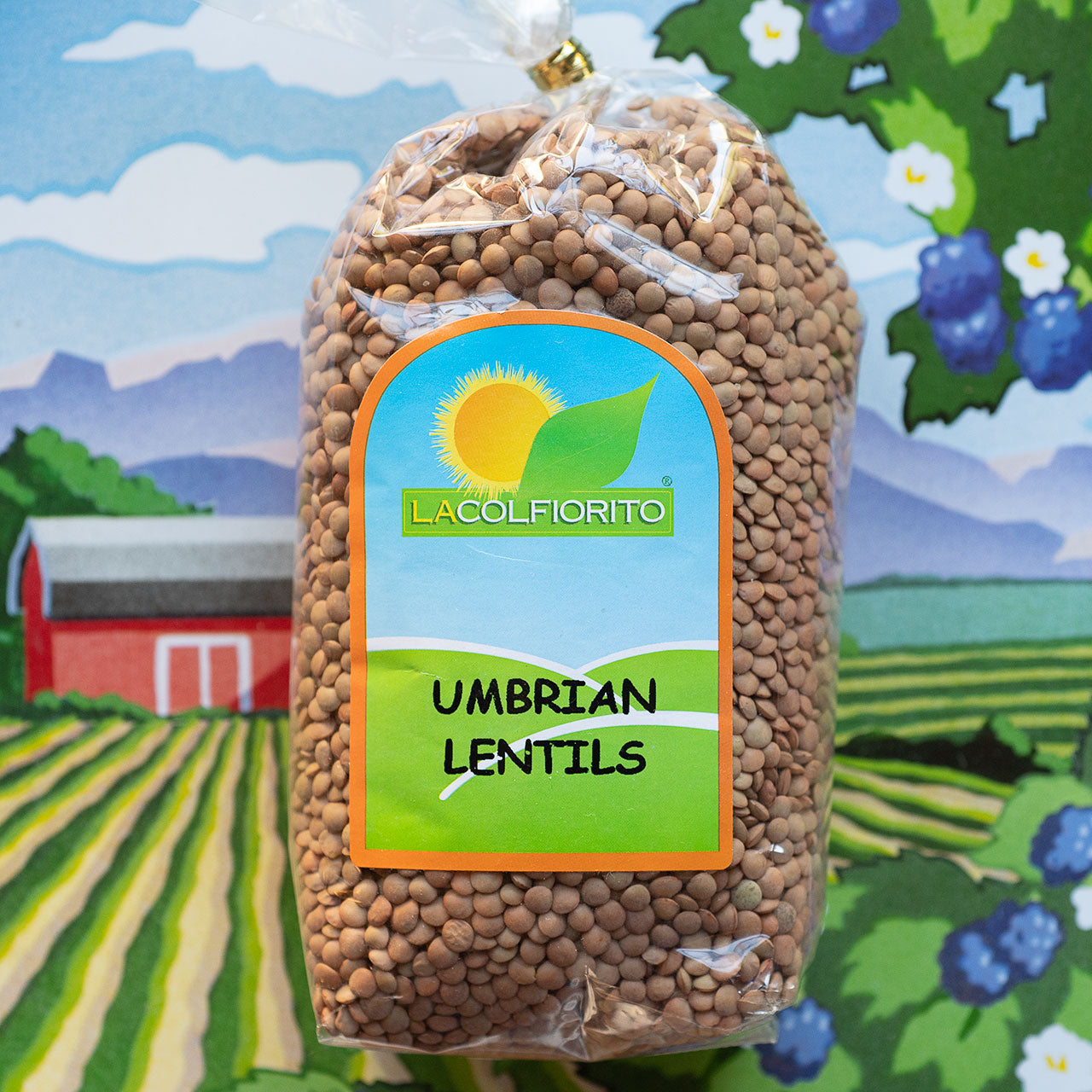 Lacolfiorito Umbrian Lentils