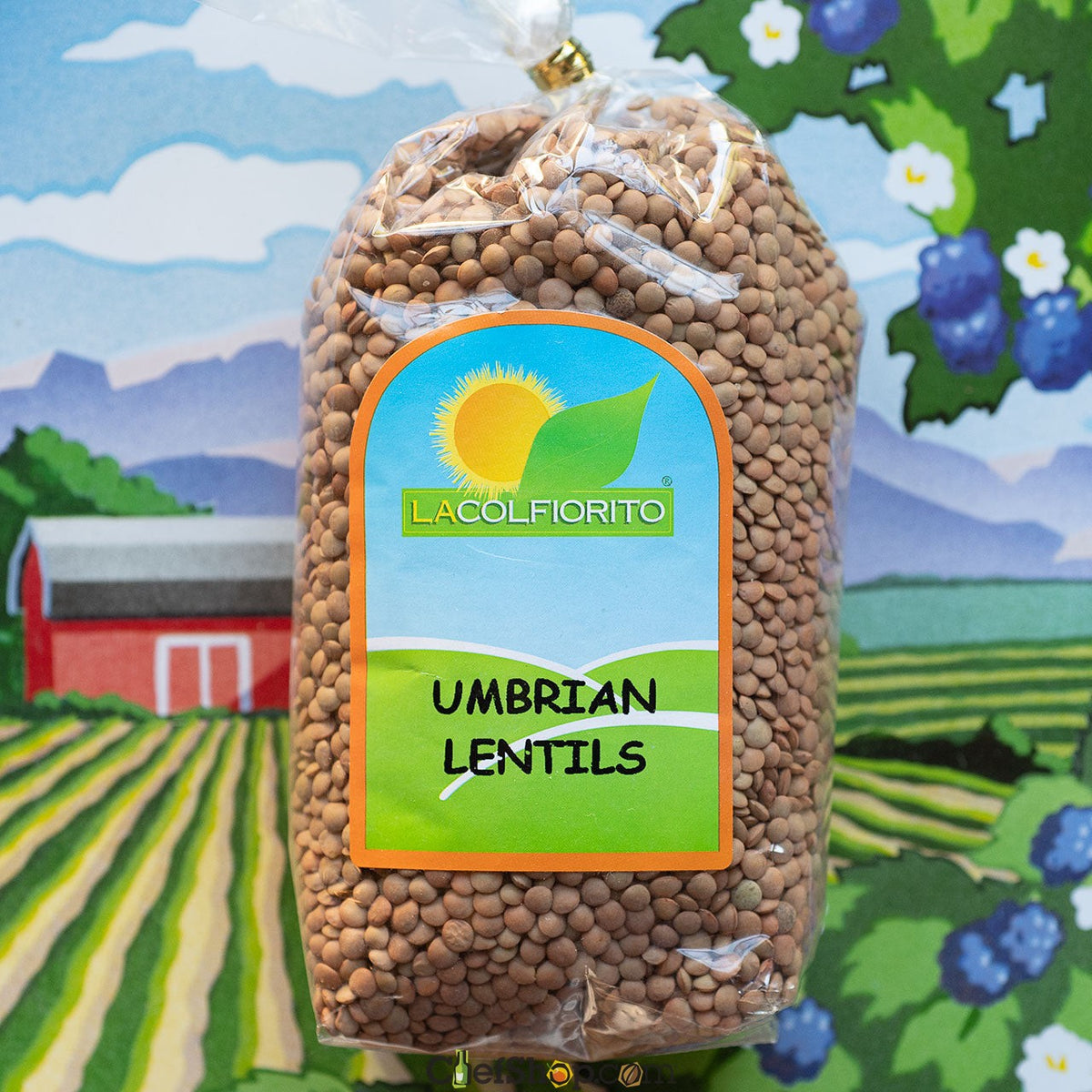Lacolfiorito Umbrian Lentils