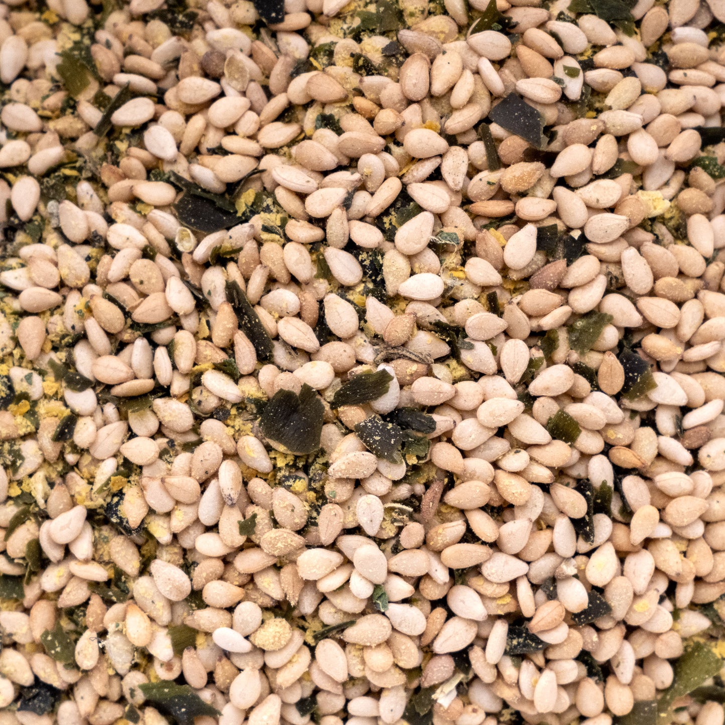 Landsea Gomasio Popcorn Blend