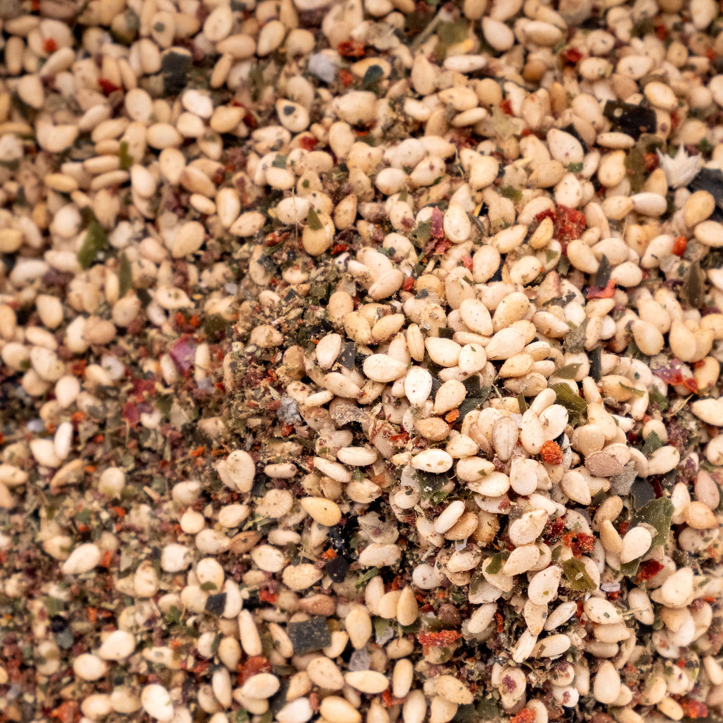 Landsea Gomasio Zaatar Blend close