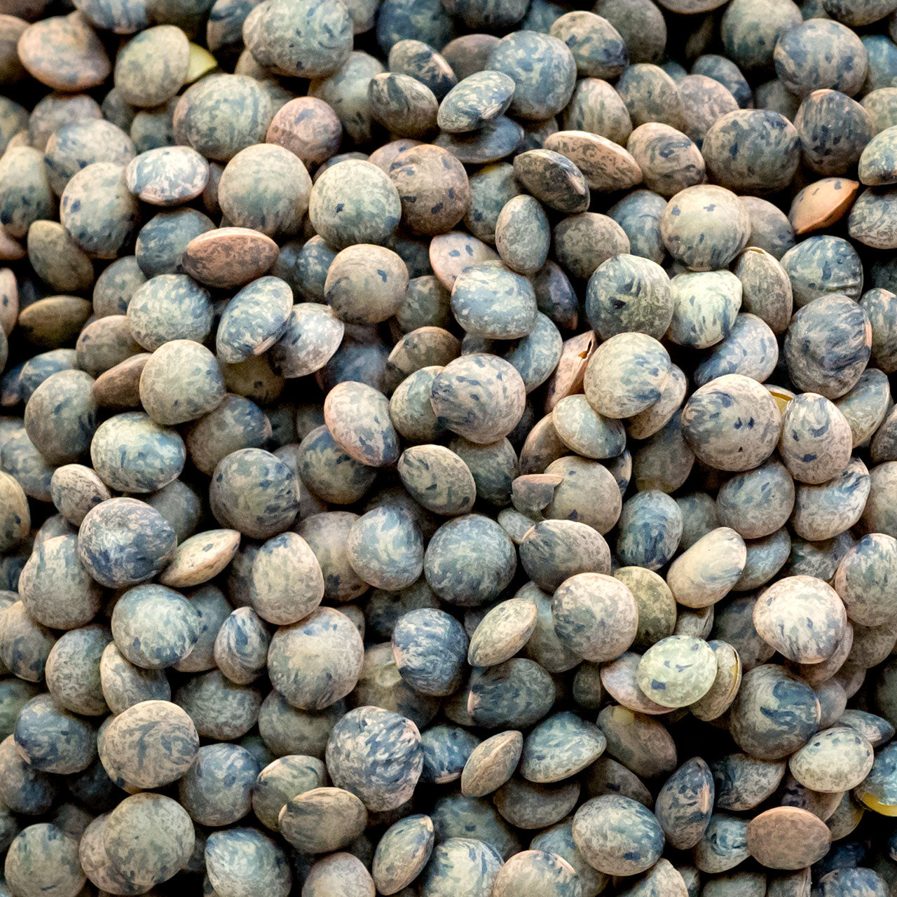 Madeline Petite French Green Lentils
