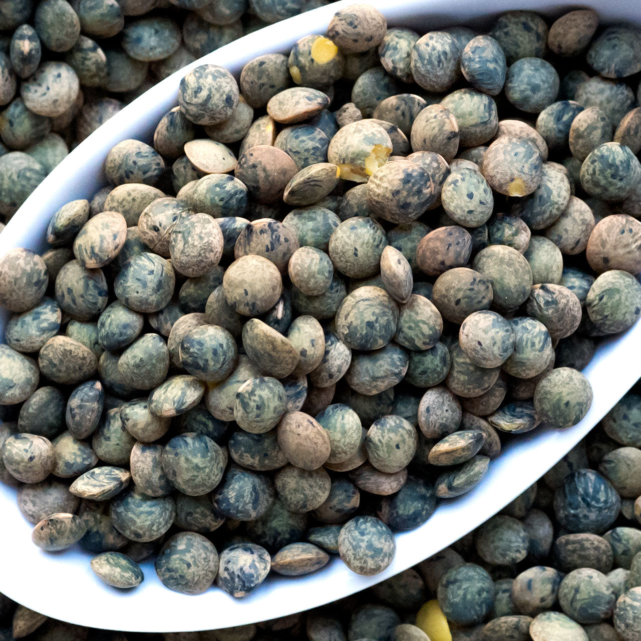 Madeline Petite French Green Lentils
