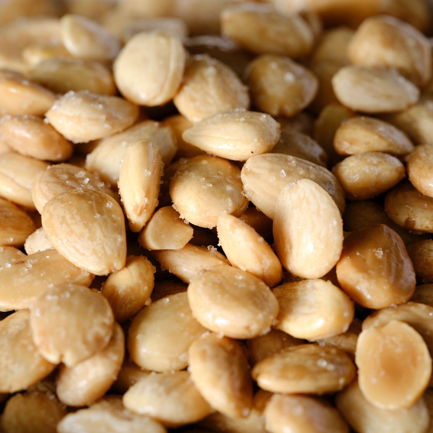 Essential Pantry Marcona Almonds - Fried & Lightly Salted