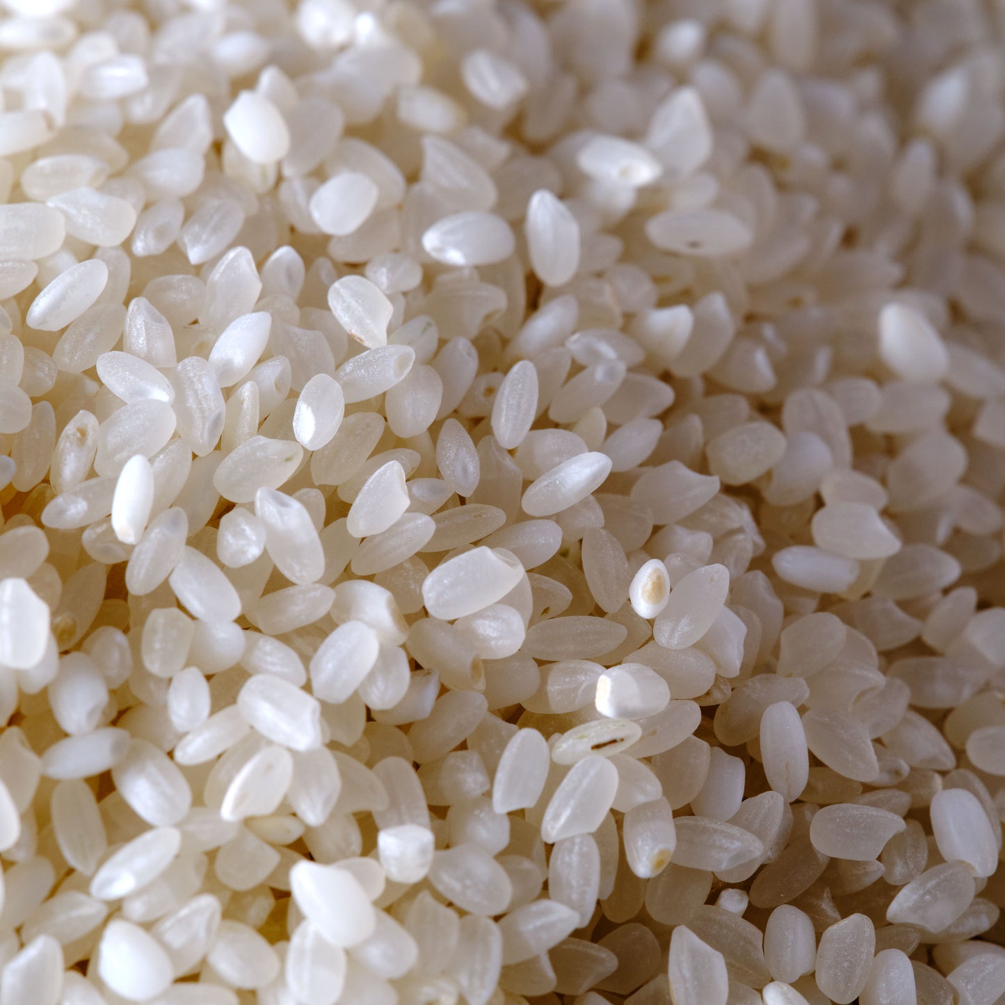 Matsuri Koshihikari Premium Short Grain Rice macro