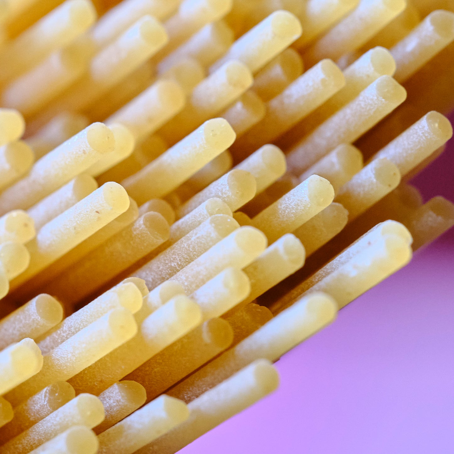 stipple of the pasta Spaghetti