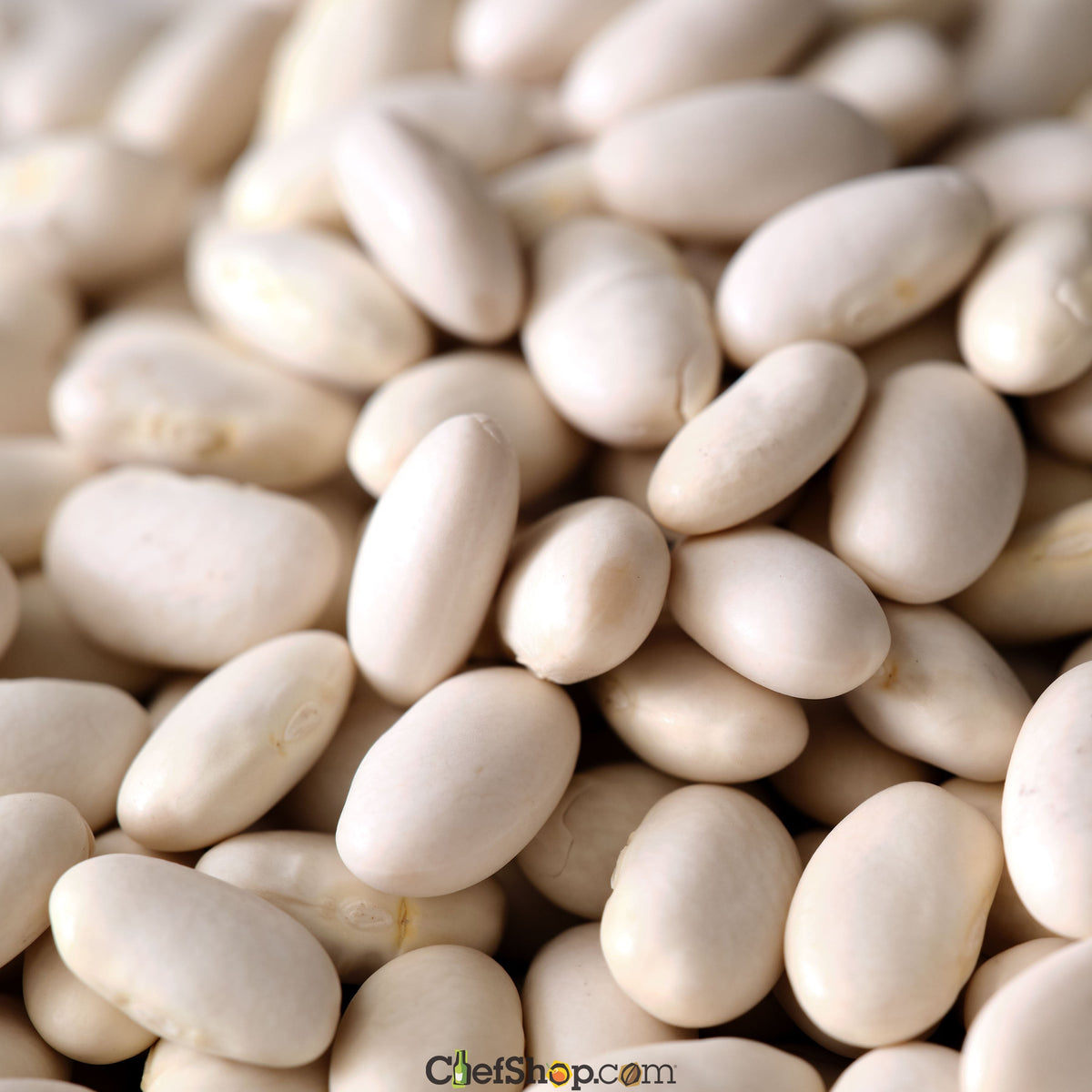 Organic Great Northern Beans - Dried