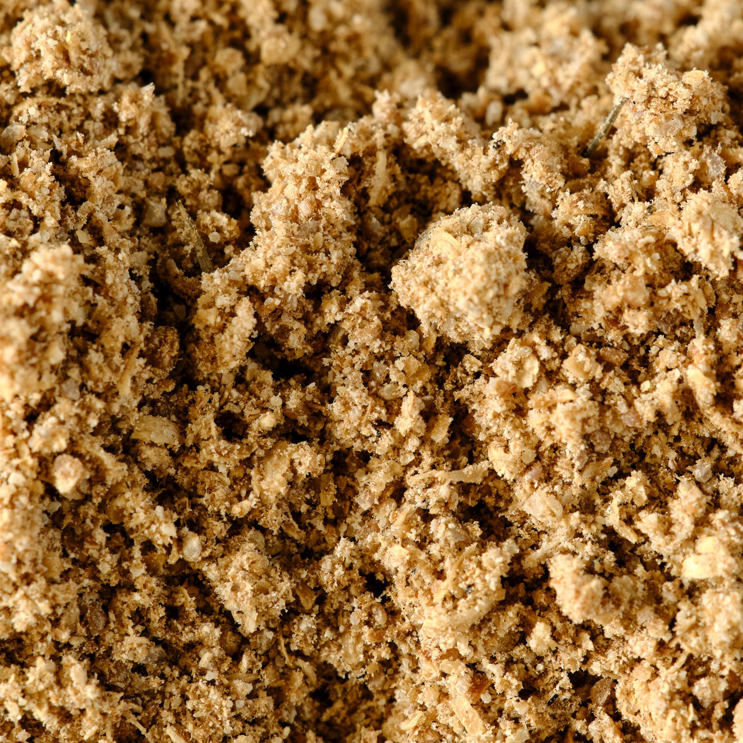 Organic Ground Coriander Macro