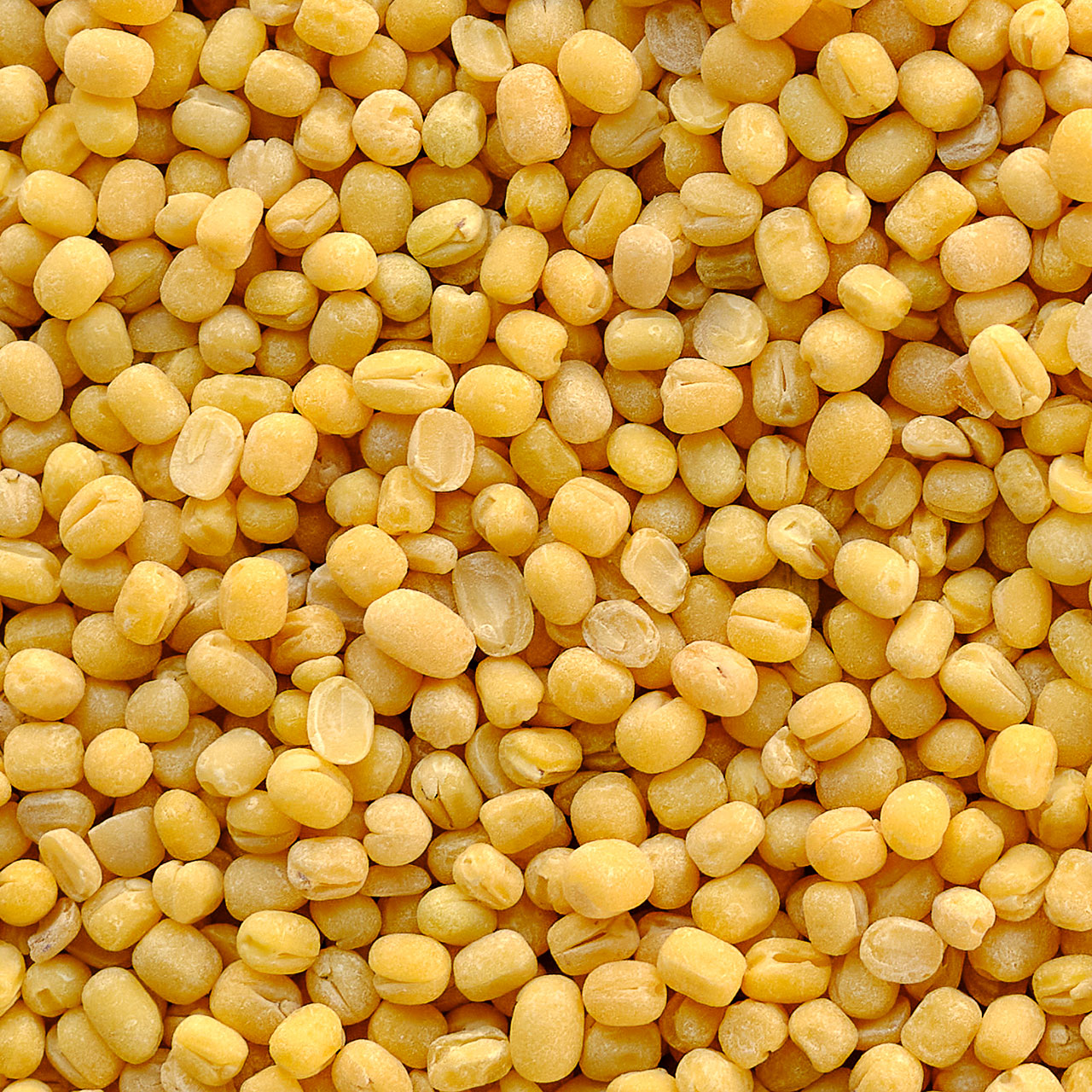 Organic Moong Dal - Split Mung Beans