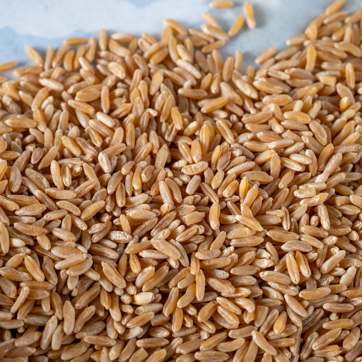 Kamut Grains