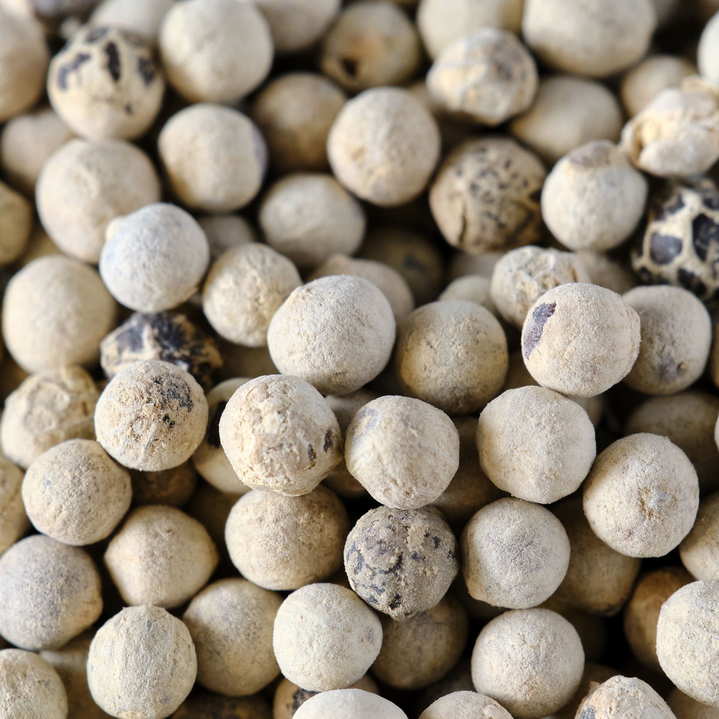 Peppercorns - Whole White Macro