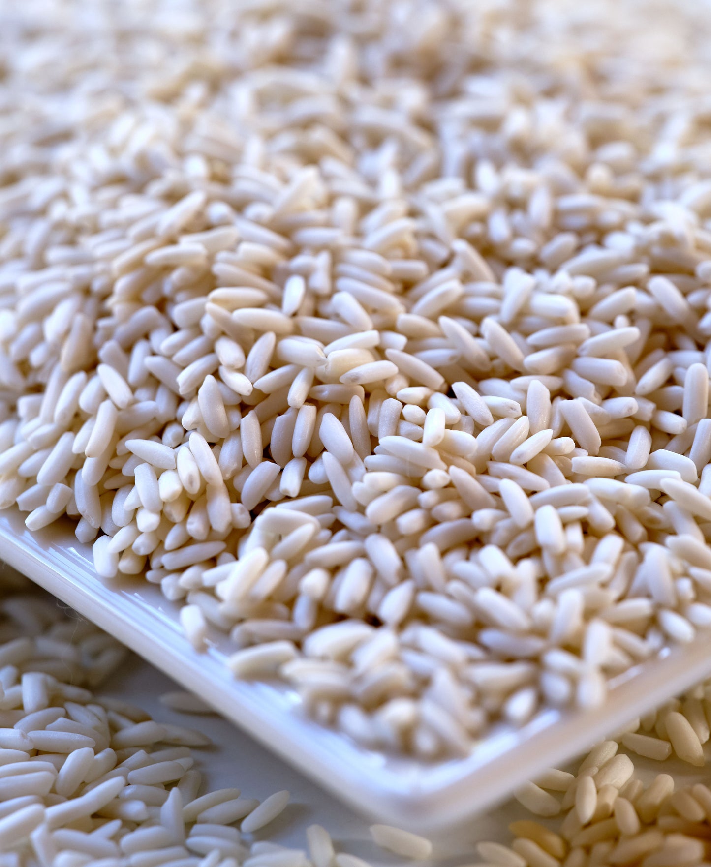 Close-up of white rice grains on a white plate Khao Niew Khao - Thai White Sticky Rice