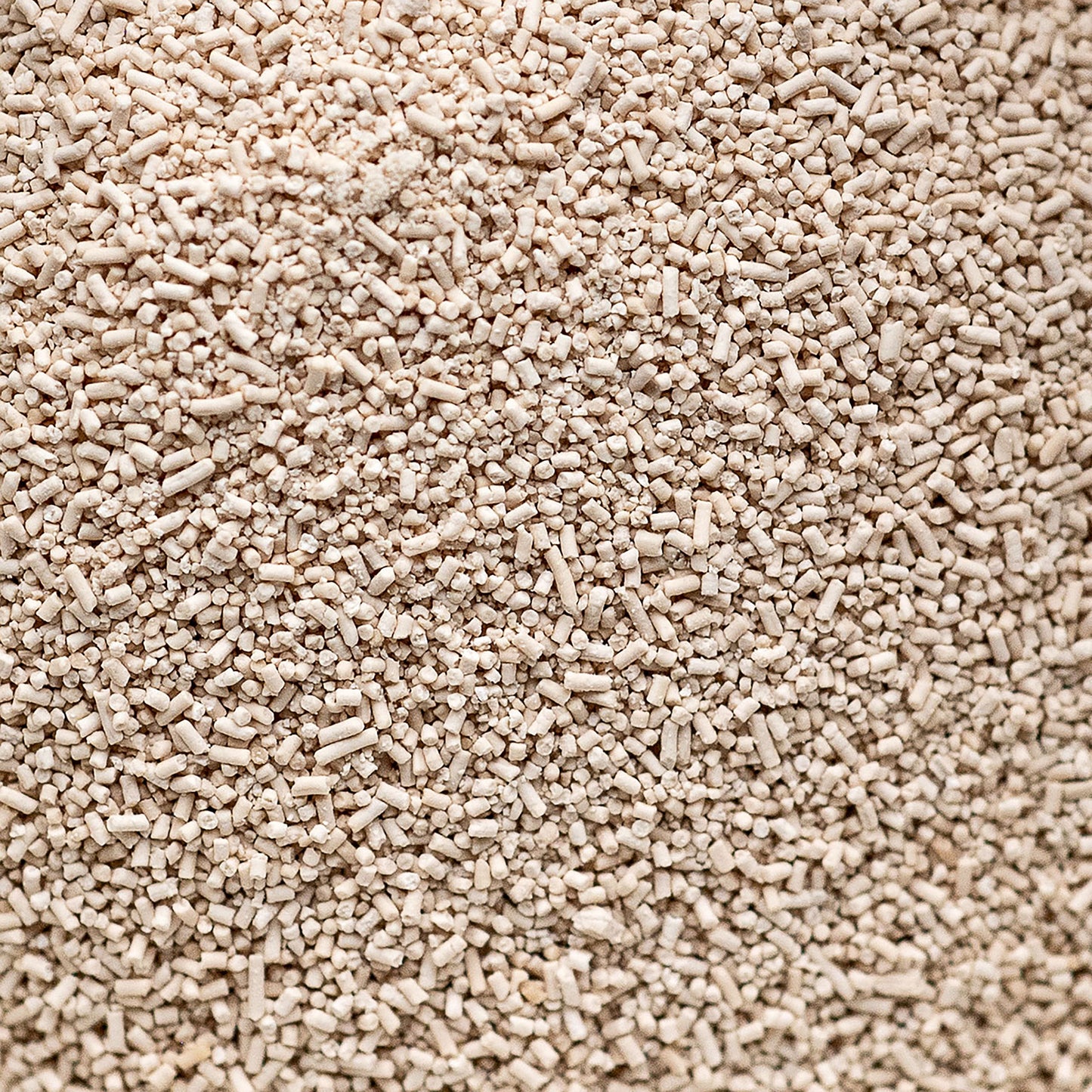 Red Saf-Instant Yeast - 1 pound