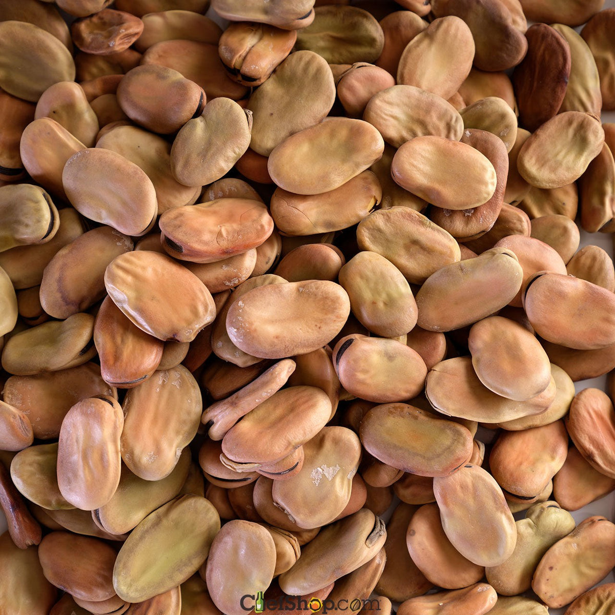 Sardinian Dried Fava Beans