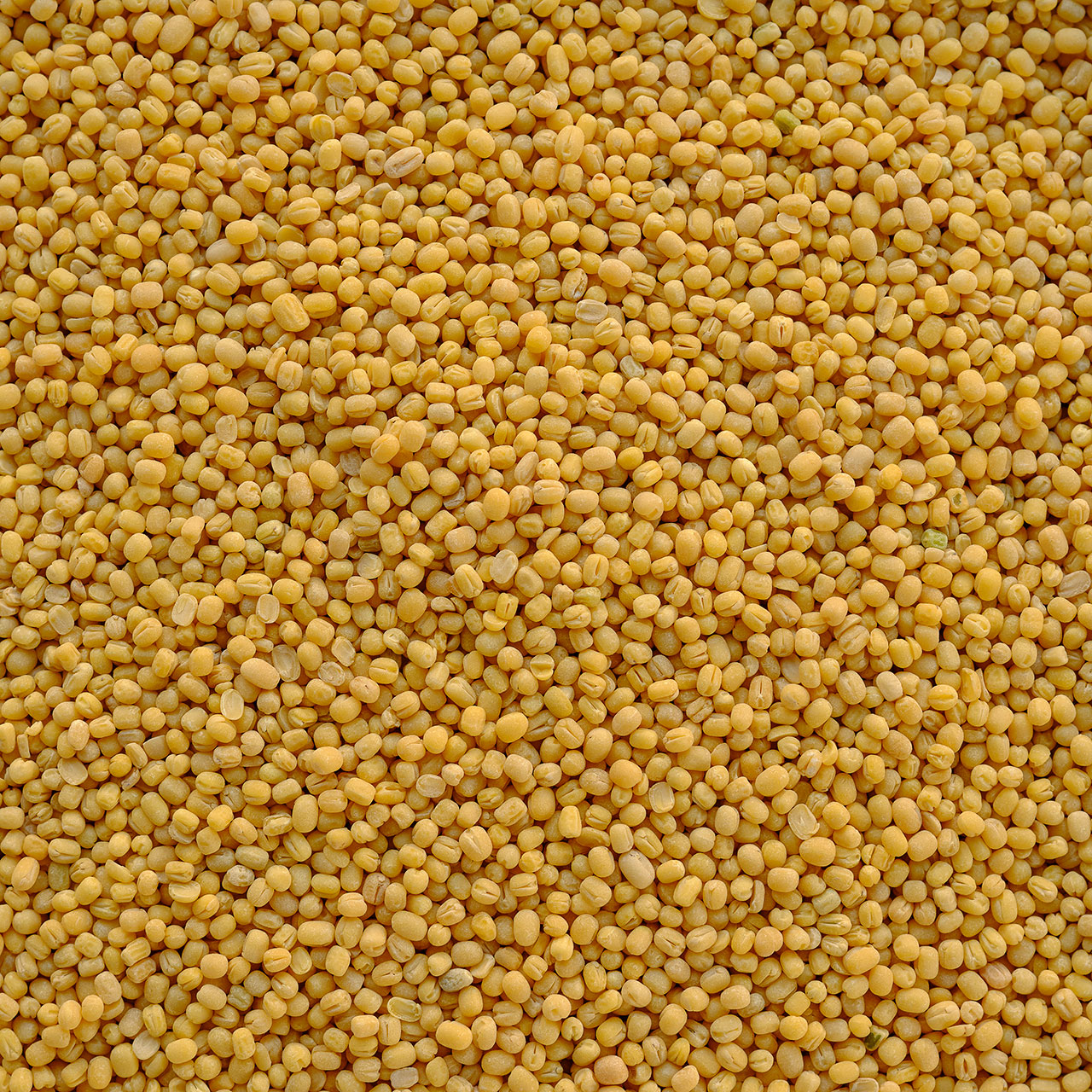 Organic Moong Dal - Split Mung Beans