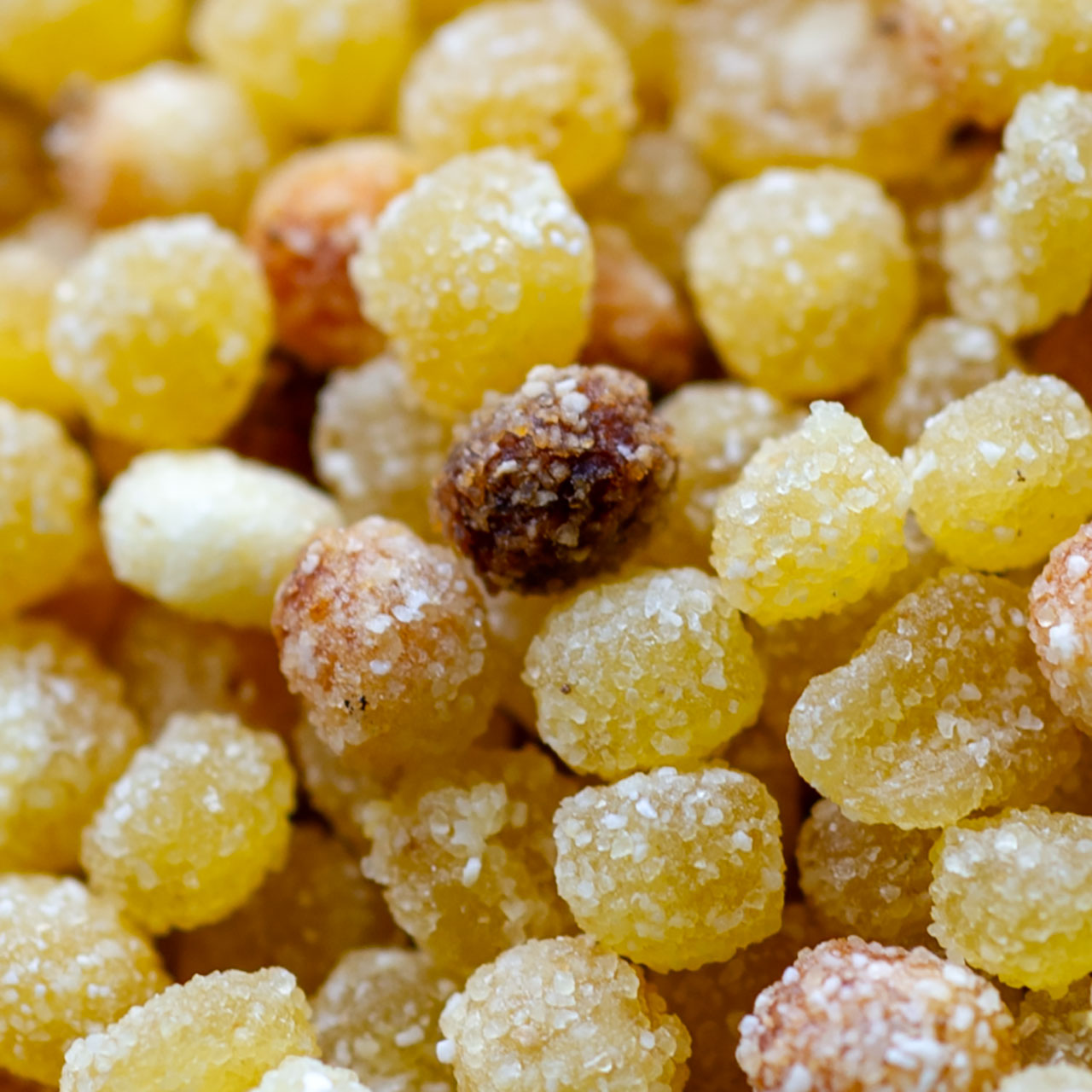 Fregula Sarda Couscous