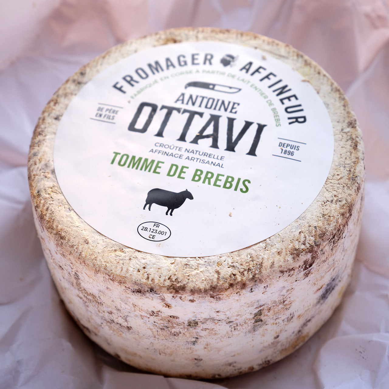 Tomme Corse Ottavi Cheese
