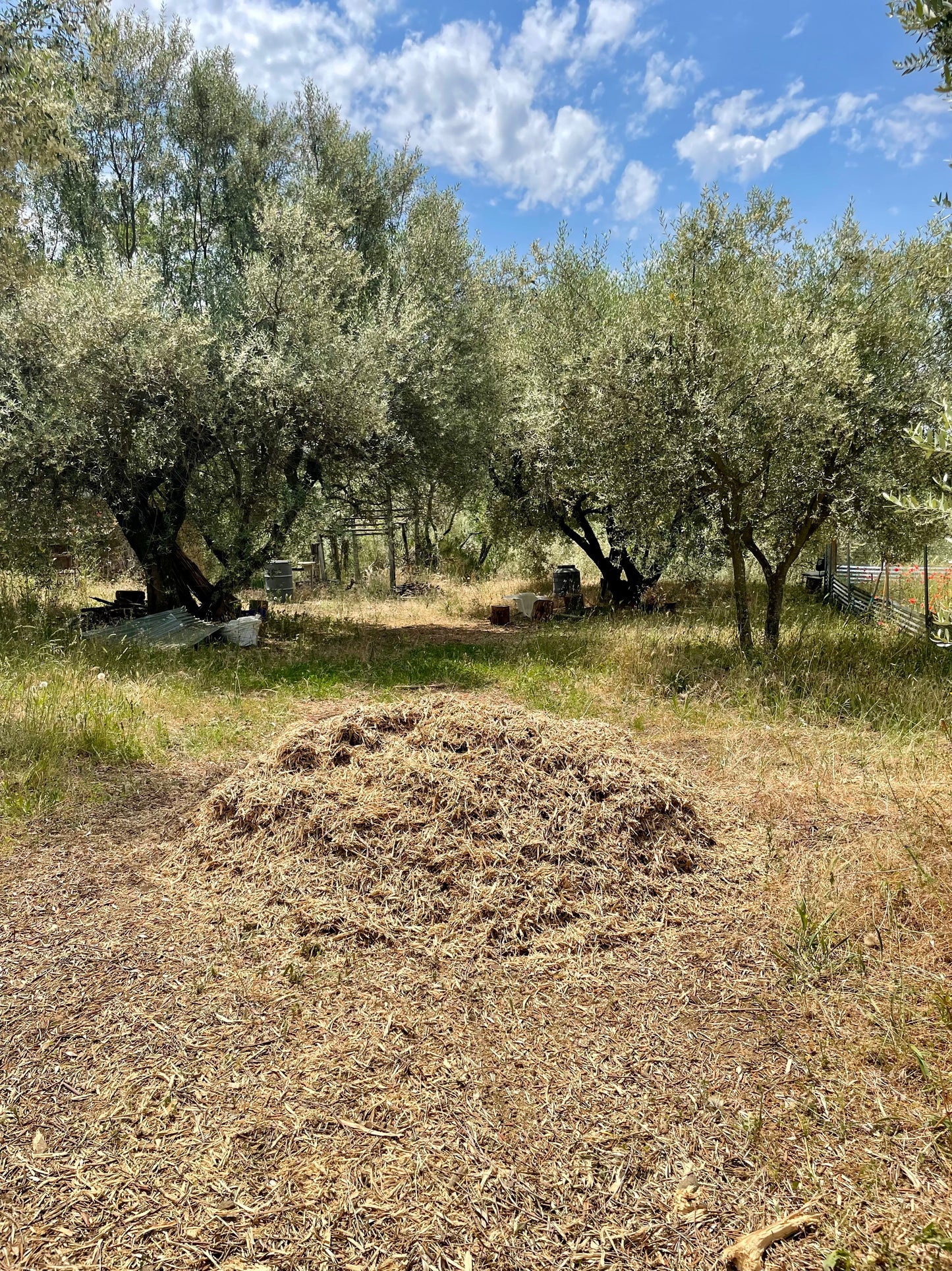 Organic natural mulch from the orchard UN-A Numa