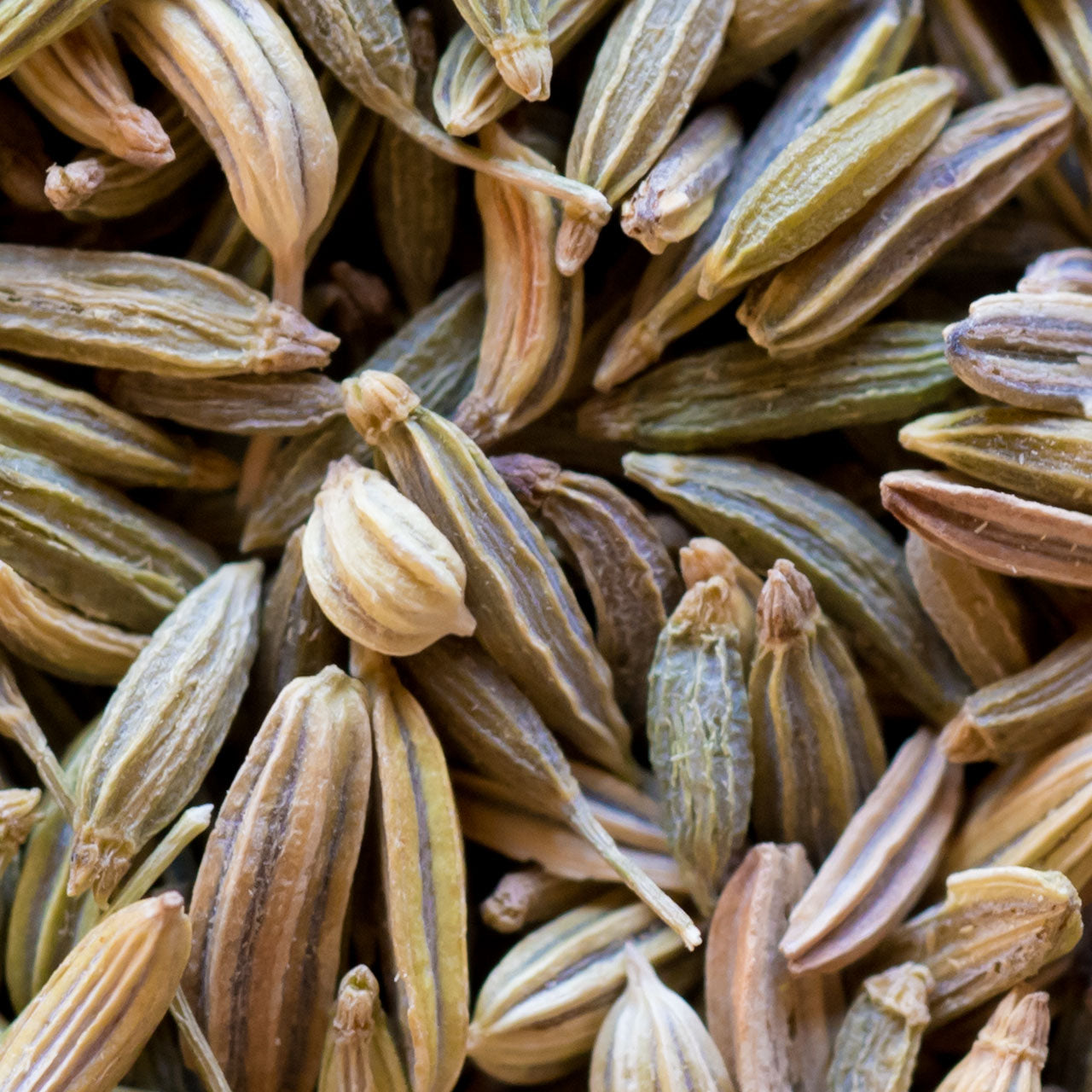 Cumin - Whole