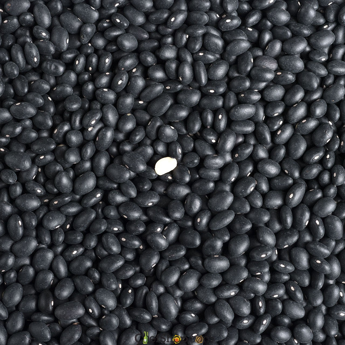 Black Turtle Beans - FA Certified