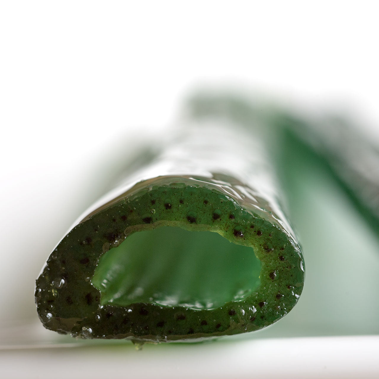 French Candied Angelica