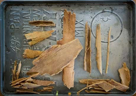 Ceylon Cinnamon Bark - Organic - Hawaii