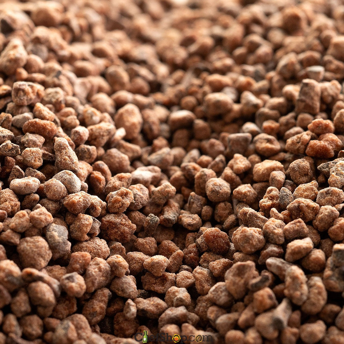 Cocoa Nibs Caramelized