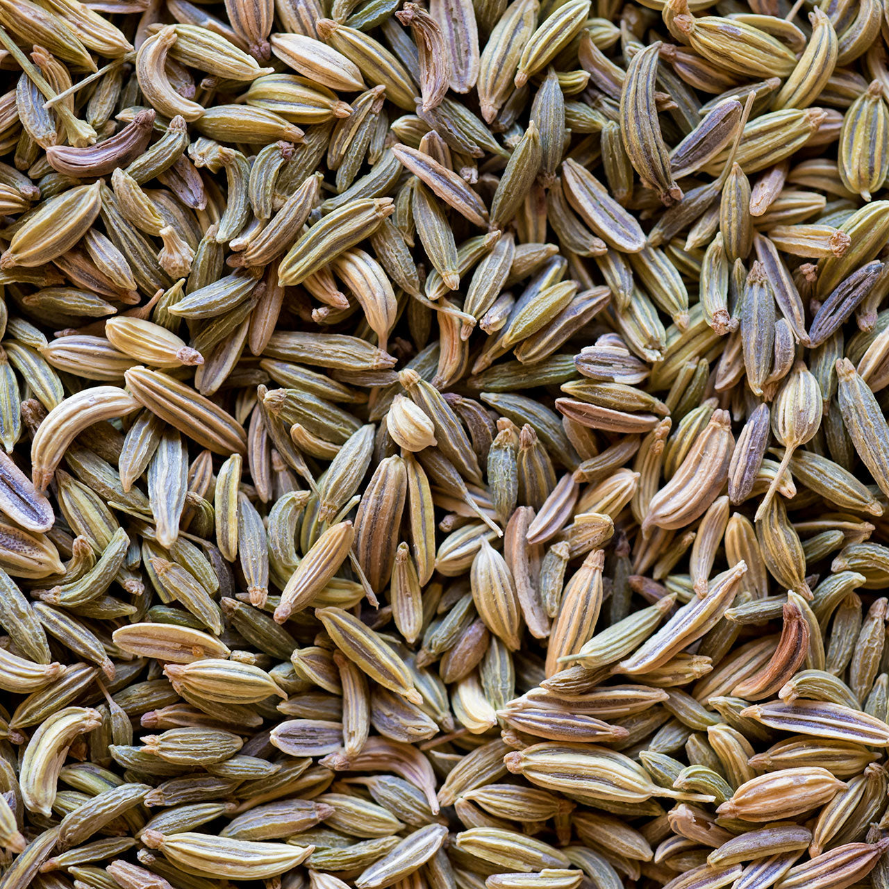 Cumin - Whole